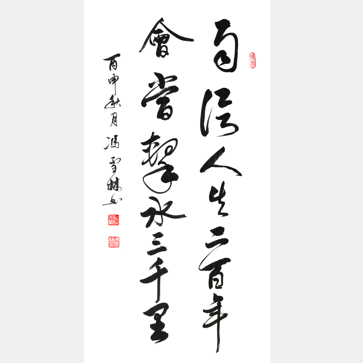 毛主席名句《自信人生二百年，會(huì)當(dāng)水擊三千里。》行書書法作品
